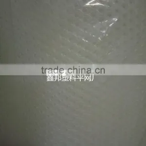 Plastic Mesh Plastic Net Chicken Mesh thumbnail-6