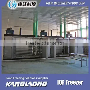 High Quality Mini IQF Freezer With Great Price thumbnail-1