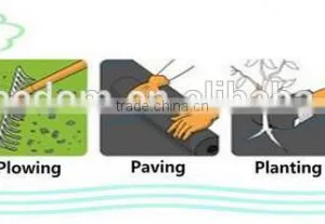 pp Non Woven Fabric Ground Cover thumbnail-6