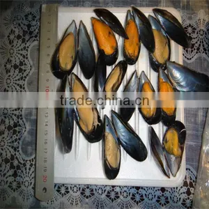 Frozen Cooked Mussel Recipe thumbnail-1