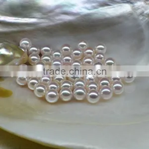 Round Loose Akoya Pearls Size 6.5-7mm With Hald Drilled thumbnail-1