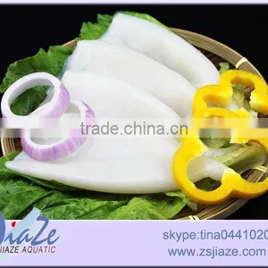 Frozen Seafood Frozen Squid Tube thumbnail-1