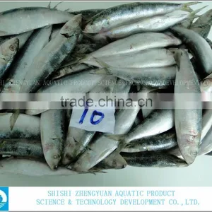 Best Price Frozen Sardine Fish thumbnail-2