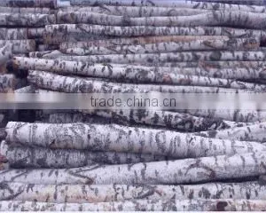 Cixi Yisheng Wood Co., Ltd. company overview - view 2 thumbnail