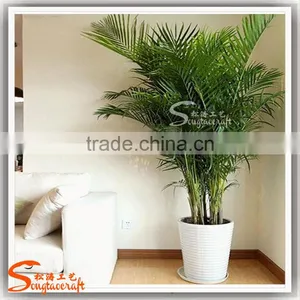 Indoor Decoration Artificial Areca Plant Home Decorarion Fake Artificial Plant thumbnail-2