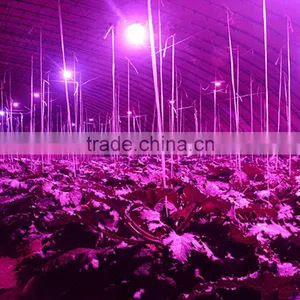 1pcs for Sale Grow Led Light E27 Indoor 7W 6 Red 1 Blue Hydroponic Grow Led Lamp for Flower Growth Vegetable Greenhouse thumbnail-3
