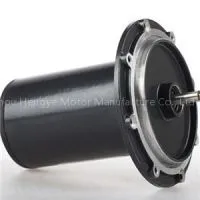12V Series DC Motor thumbnail-1