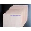 Okoume Plywood thumbnail-2