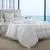 5 Star Hotel Used Super Soft Quilted Style Goose Down Filling Luxury Hotel Duvet thumbnail-1