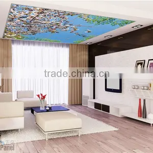 2016 Luminous Led Sky Curtain Wall Panel thumbnail-4