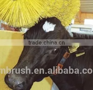 High Quality Customizd PP Material Cow Body Brush thumbnail-2