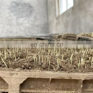 Kubota Latest Automatic Rice Nursery Sowing Machine thumbnail-5