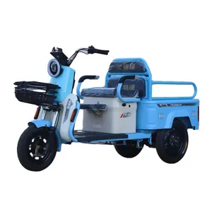 500w 650w Oem China Cheap 3 Wheel Electric Cargo Truck Electric Cargo Tricycle thumbnail-1