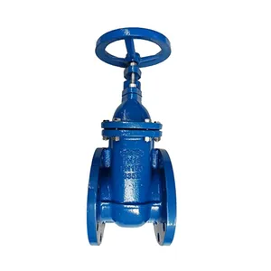 DIN Flange F4 Gate Valve for Chemical Processing With 1-Year Warranty thumbnail-5