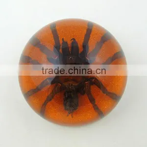 2016 New Design Wholesale Special Business Paperweight With Real Insect thumbnail-1