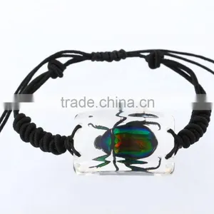 Latest Hippie Bracelet Beads as Promotion Gifts With Real Insect thumbnail-2