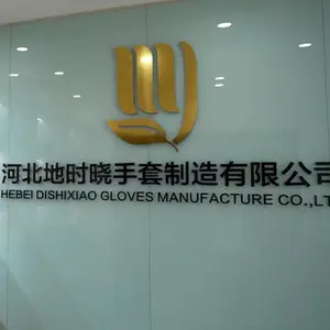 Hebei Dishixiao Gloves Manufacturing Co., Ltd. company overview - view 1 thumbnail