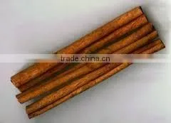 Good Quality Tube Cassia thumbnail-1