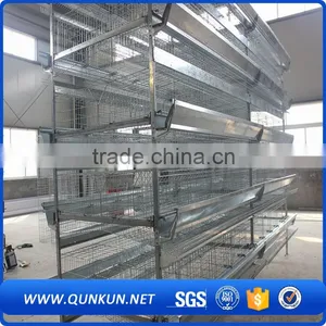 Automatic Chicken Layer Poultry Control Shed Equipment thumbnail-1