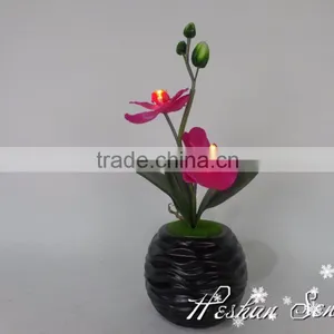 Hot Selling Popular Artificial Plastic Butterfly Orchid With Led Light for New Year Decoration Lighting Flower Bonsai thumbnail-3