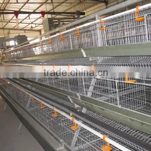 Practical Design Layer Chicken Cage for Pakistan Chicken Farm thumbnail-1