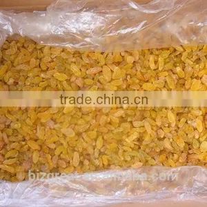 Dried Fruits-Air Dried Sweet Dried Golden Raisins for Sales thumbnail-1