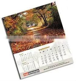 Wall Calendar 2016 thumbnail-2