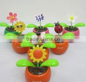 Solar Flower thumbnail-1