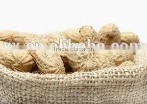 Wholesale Fried Salted Peanuts From Shandong, China thumbnail-4