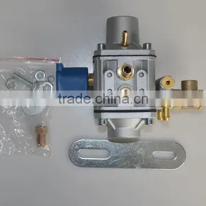 Direct Manufacturer Hot-sale Lpg Reducer China Supplier thumbnail-1