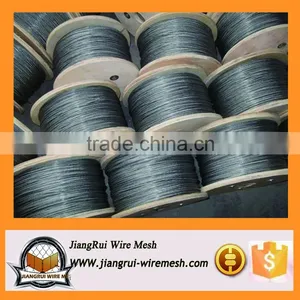 316L 304 Stainless Steel Wire / Stainless Steel Wire in Coil (factory Price) thumbnail-3