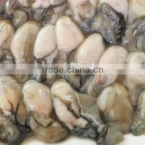 Frozen Oyster Meat thumbnail-1