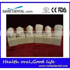 Hot Sale 4 Times Butment Cavity Preparation Model Gingival School Teaching Demonstration Models thumbnail-5