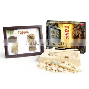 Fossil Photo Frame Dig Kit, 4 Assorted, 12pcs per Display. thumbnail-1