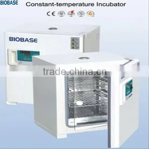 Hot Selling--Constant Temperature Incubator-lab.clinical. Factory Use thumbnail-1