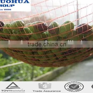 Olive Tree Nets in Harvesting thumbnail-5