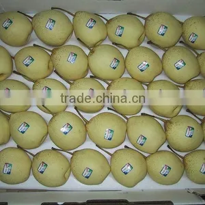 9KG Ya Pear 40-44 Specification thumbnail-6