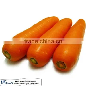 New Season Carrot Fresh Carrot thumbnail-1