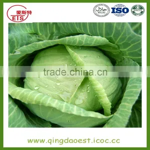 Shandong Hot Sale Fresh Cabbage thumbnail-1
