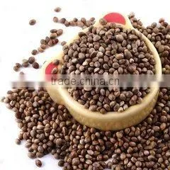 Popular Selling in the Market Organic Hemp Seed Oil Cold Pressed thumbnail-4