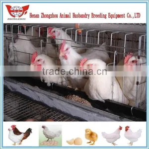 Hot Chicken Layer Cage/ Hens Chicken Cage/chicken Farm/poultry Farm thumbnail-6
