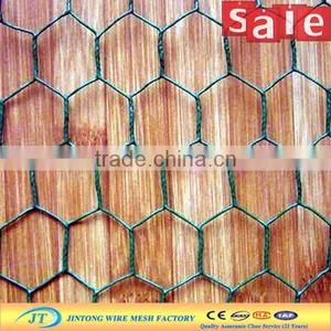 Chicken Coop Hexagonal Wire Mesh thumbnail-2