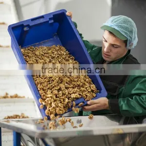 Walnut Kernel Five Layer Continuous Type Hot Air Dryer thumbnail-3