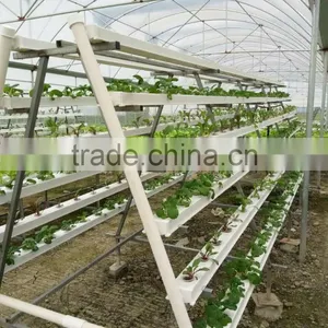 Vertical Hydroponics System thumbnail-2