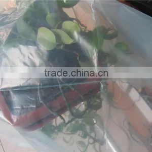 200 Micro Transparent Plastic Greenhouse Film thumbnail-3