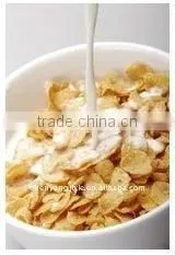 Corn Flakes/corn Chips Food Processing Line o thumbnail-1