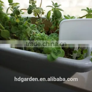 Hot Sale Colored Plastic Plant Marker Tag Wholesale thumbnail-4