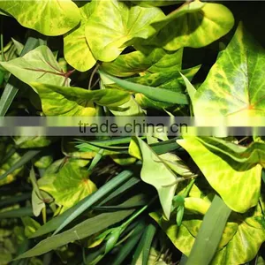 Stickers Home Garden Deco 200*200 cm Indoor or Outdoor Artificial Corner Succulent Green Climbing Plant Wall Ezwq10 109 thumbnail-1