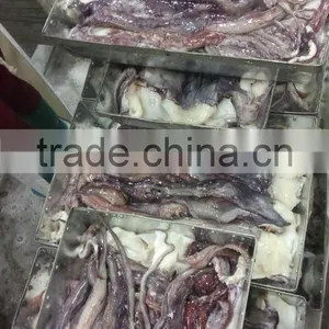 Frozen Squid Tentacle Of ILLex Squid thumbnail-3