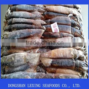 Illex Argentinus Squid thumbnail-1